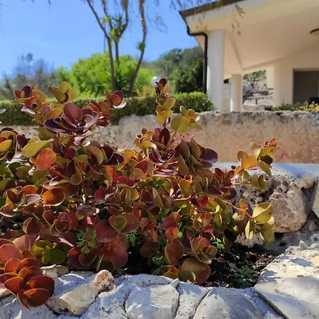 Resta - Ampio Giardino E Splendida Vista Mare Villa Gagliano del Capo
