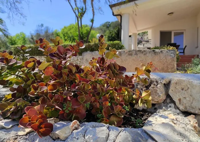 Resta - Ampio Giardino E Splendida Vista Mare Villa Gagliano del Capo